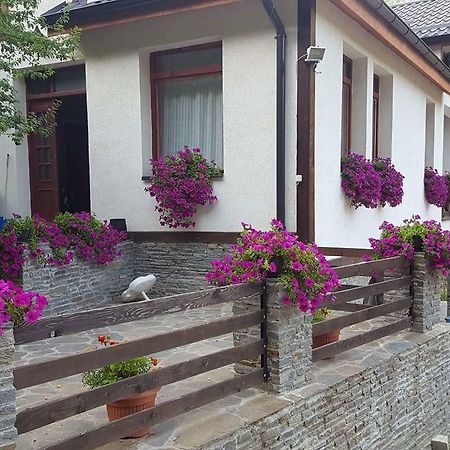 Villa Ana Marija Duracka Reka Extérieur photo