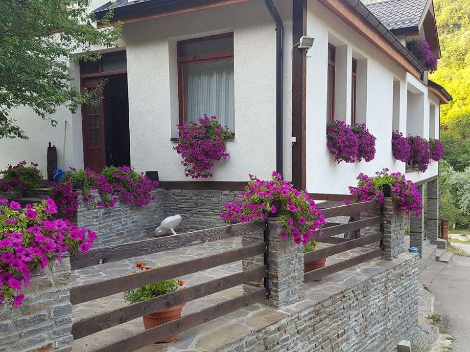 Villa Ana Marija Duracka Reka Extérieur photo
