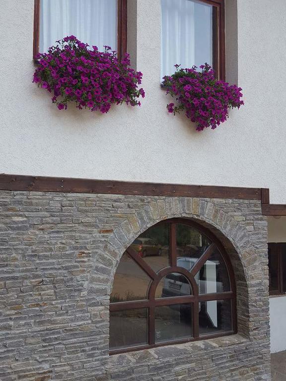 Villa Ana Marija Duracka Reka Extérieur photo